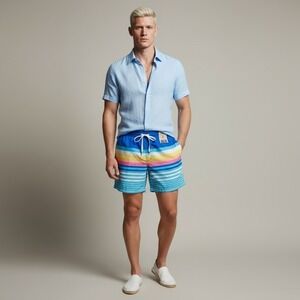 Chubbies The‎ NEWPORTS Swim Trunks Shorts 5.5 Classic Stripe Blue Men's Large